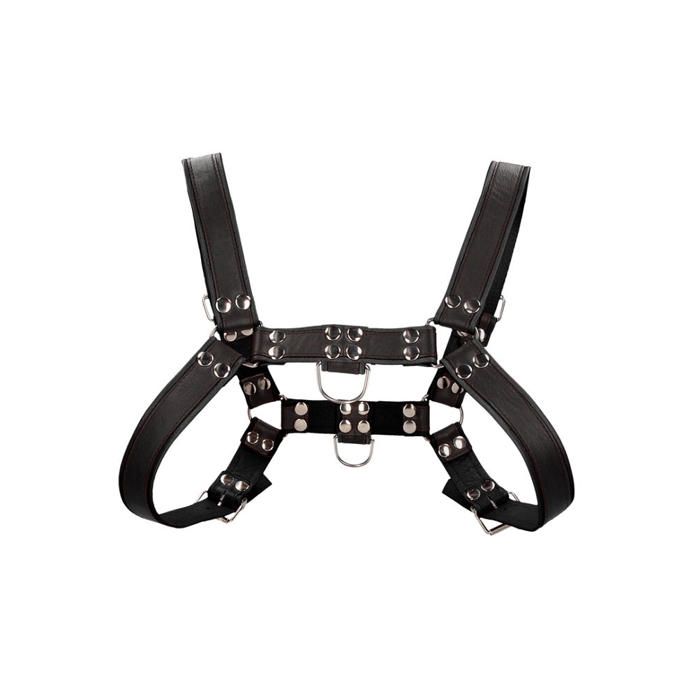 bulldog-leather-chest-harness-l-xl